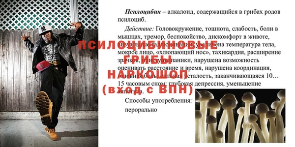 СК Дмитровск