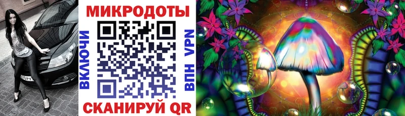 Купить закладки  Гдов  Галлюциногенные грибы Magic Shrooms 